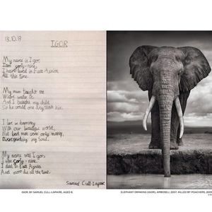 Meet your Posher, Ali